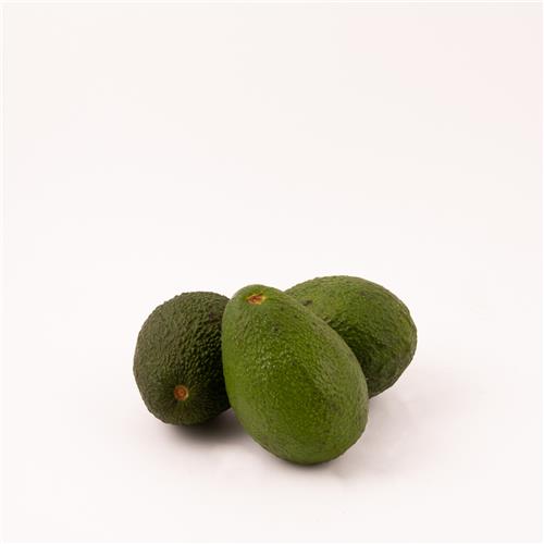 Avocado Large Hass