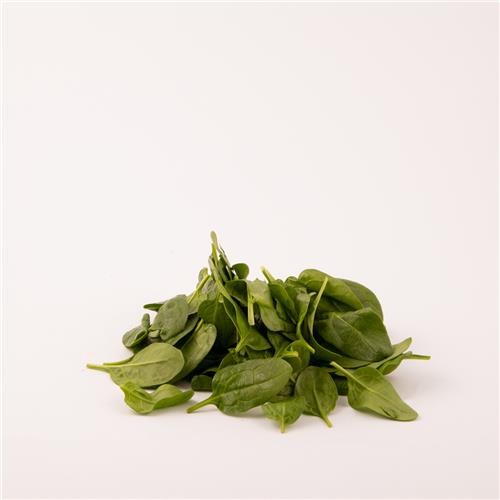 Baby Spinach 100g Pack Second Ave Grocer